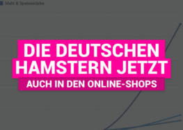 Die Deutschen hamstern jetzt auch in den Online-Shops